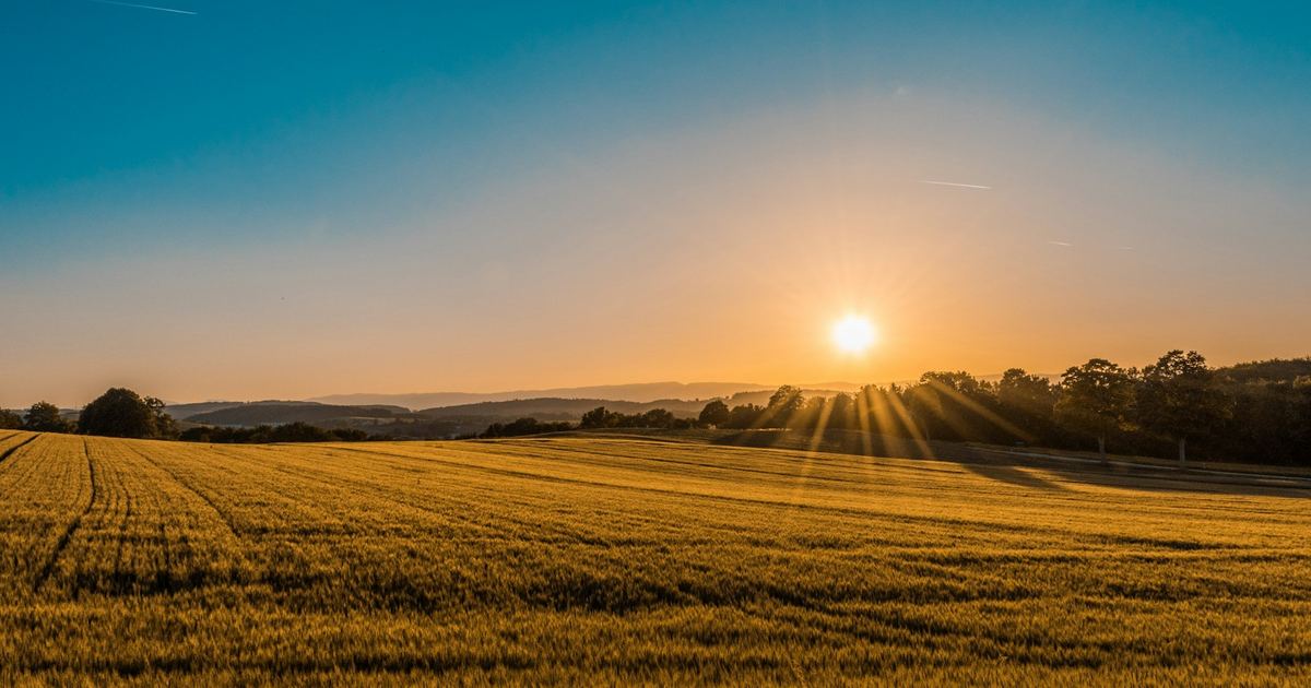 Open arable farmland at sunset, the kind of land strategic land consultants assess for long-term potential