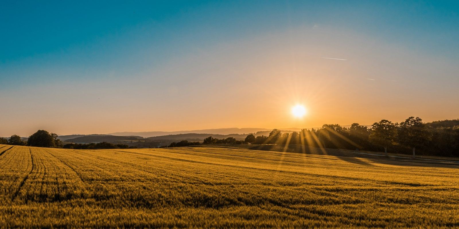 Open arable farmland at sunset, the kind of land strategic land consultants assess for long-term potential